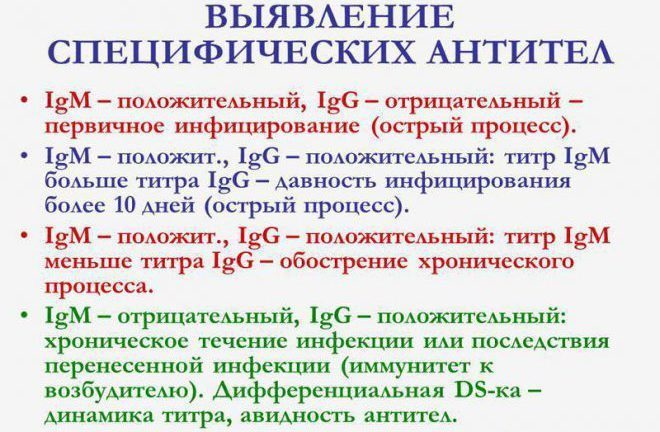 kontsentratsii-antitel-igm-i-igg-e1489049884942-3274746