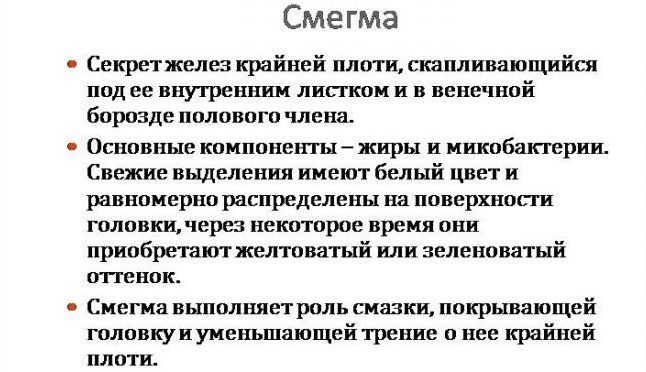smegma-e1488793573885-6988427